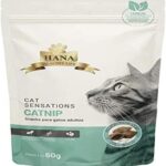 snacks com catnip 60g gatos