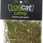 zoecat catnip